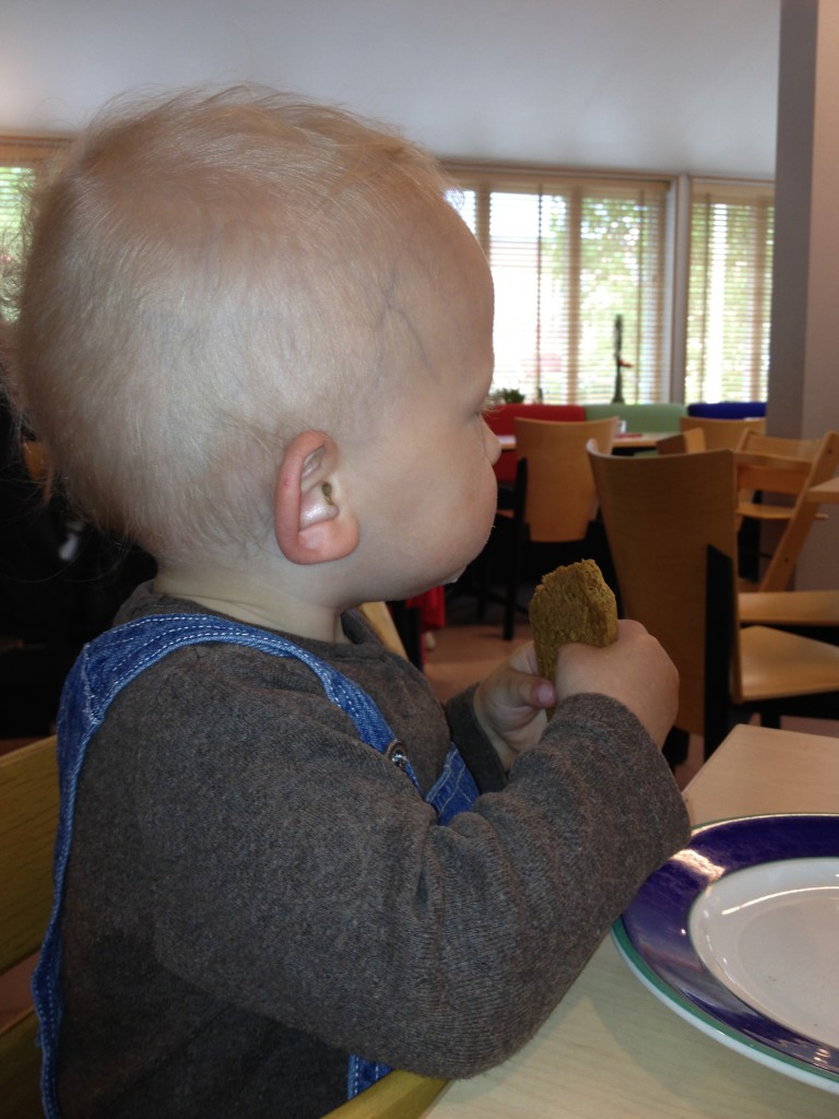 upptäcker biblioteket, maj, 2013 001