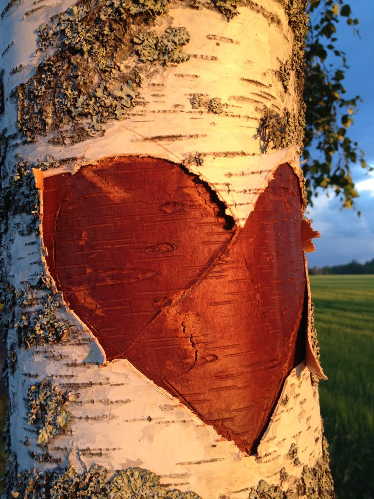 Djulö kärleksallé Juni 2013 004