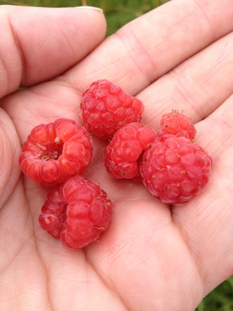 AleVictoria semester juli 2013 026