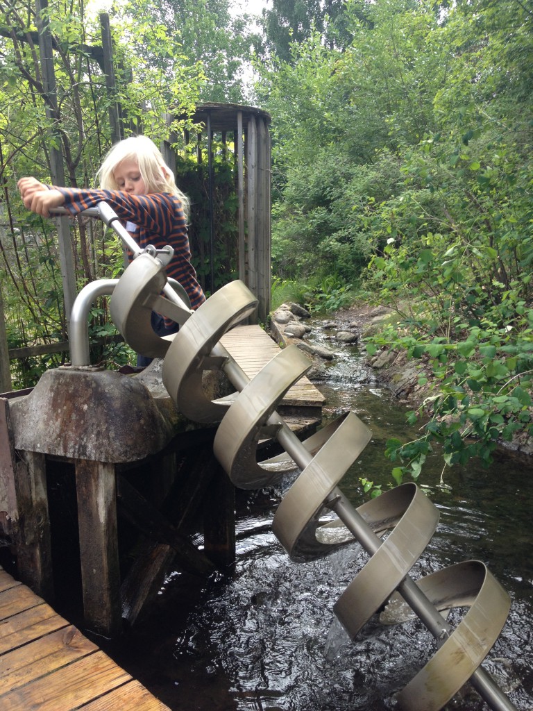 Tom Tits Juli 2013 011