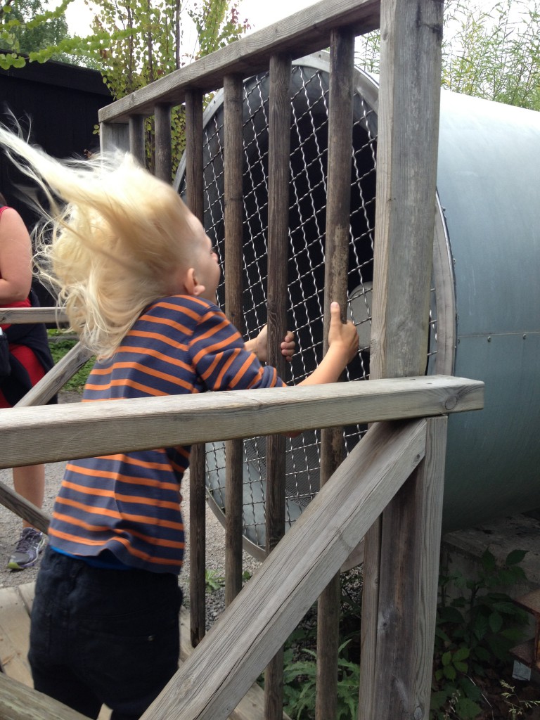 Tom Tits Juli 2013 019