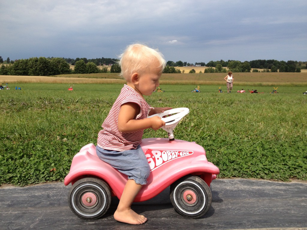 Palstorps hage 2013 010