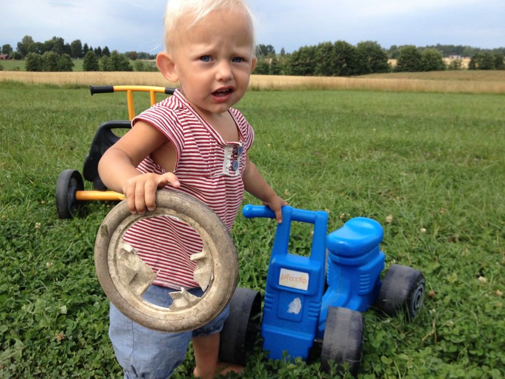 Palstorps hage 2013 011