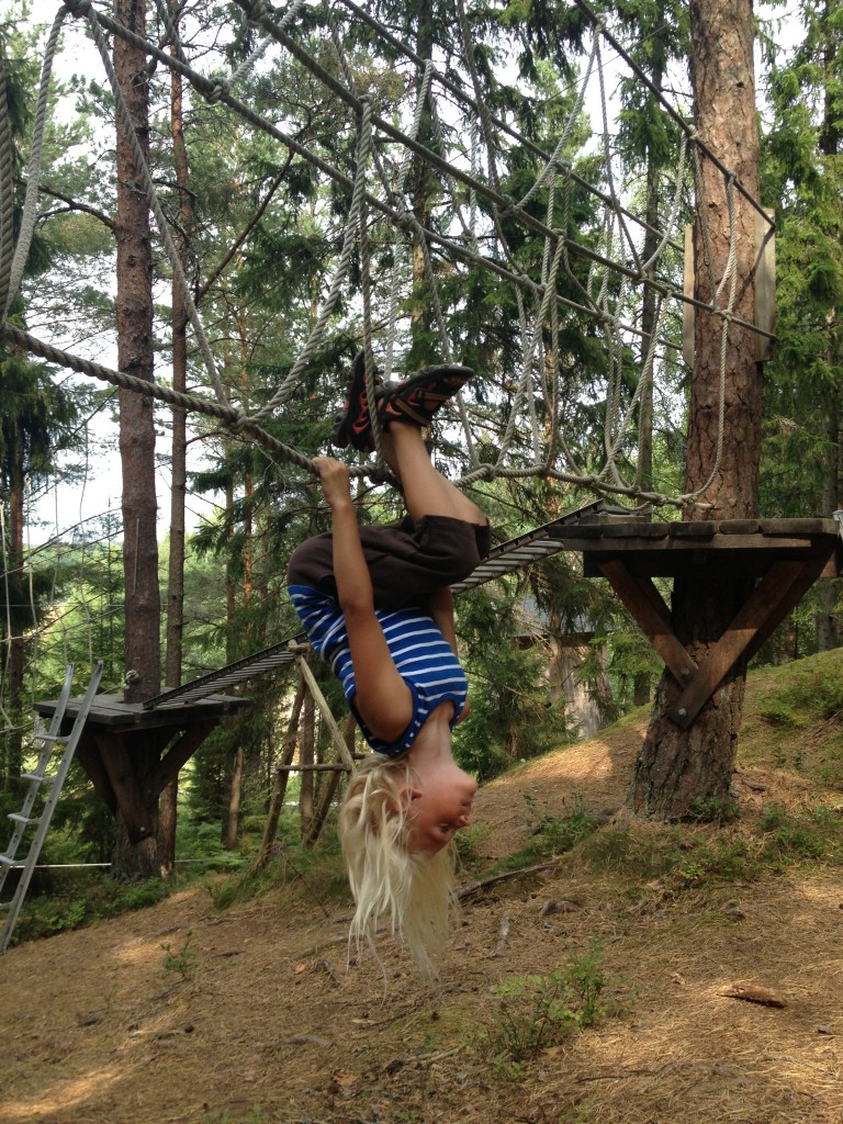 Palstorps hage 2013 016