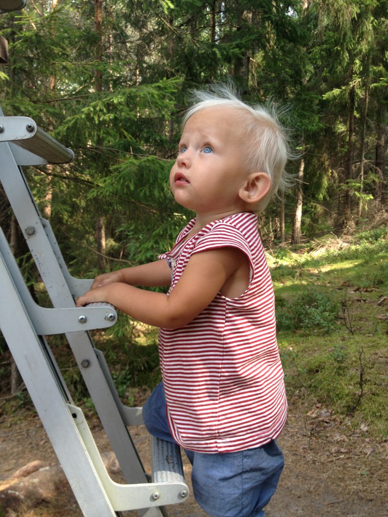 Palstorps hage 2013 020