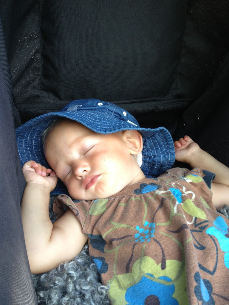 stegbilen augusti 2013 003