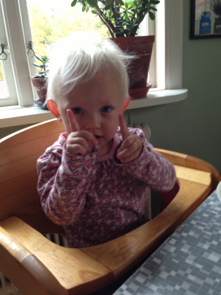 Bilder från Jimmys i-Phone 2013 013