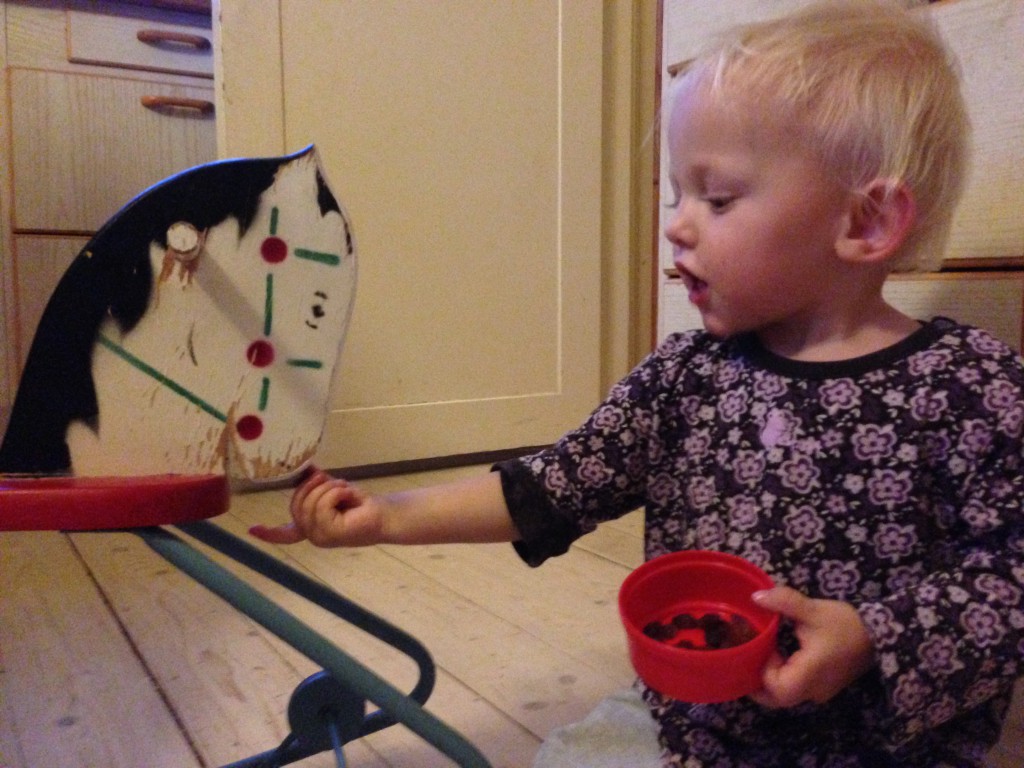 Bilder från Jimmys i-Phone 2013 014