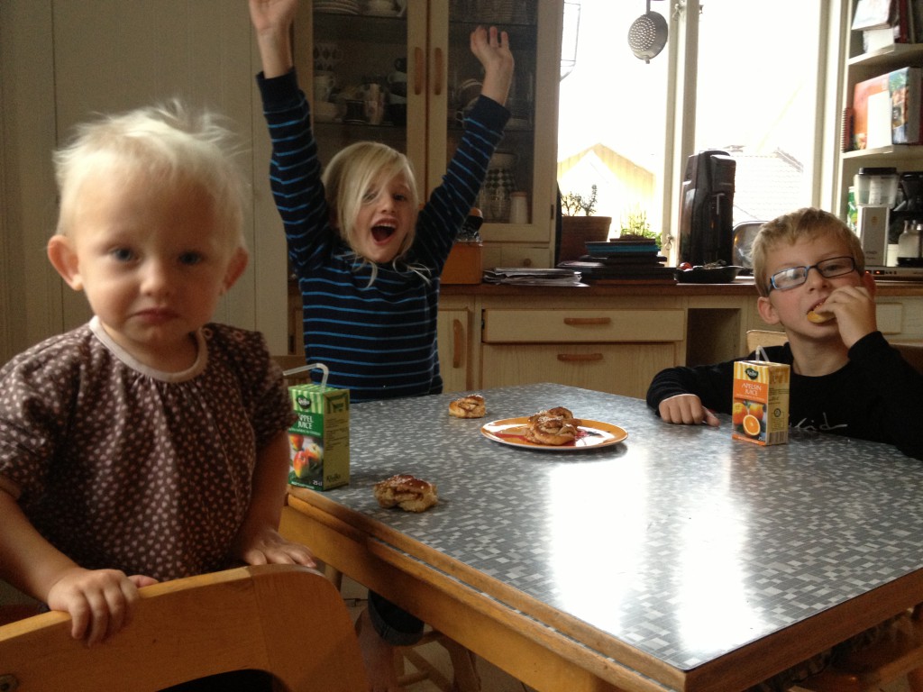 innelek oktober 2013 005