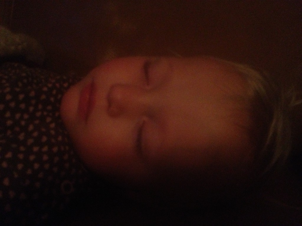 innemys december 2013 005