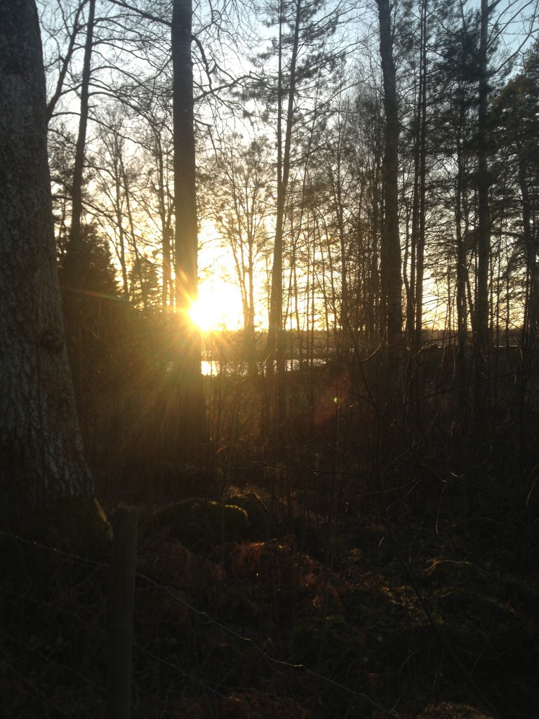 runt jul, hemma 2013 001