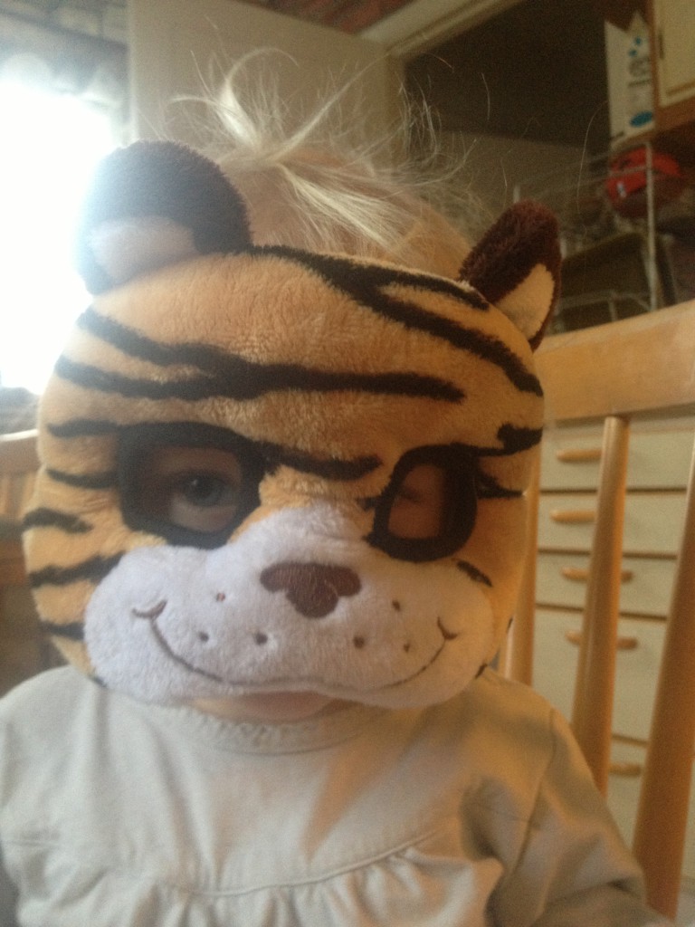 Innedagar i början av januari 2014 001