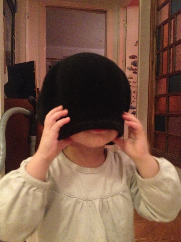 Innedagar i början av januari 2014 005