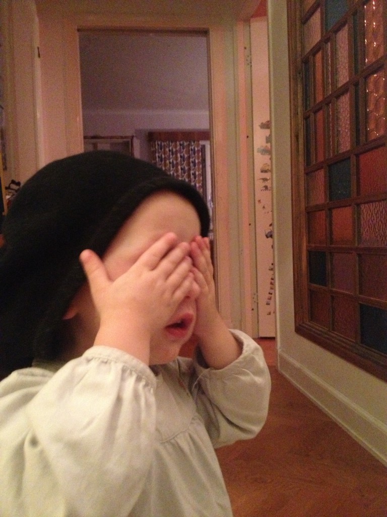 Innedagar i början av januari 2014 007