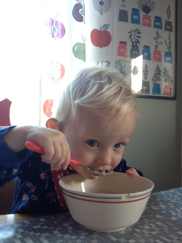 Lekpark hemma januari 2014 005