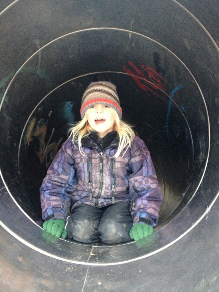 Lekpark hemma januari 2014 008