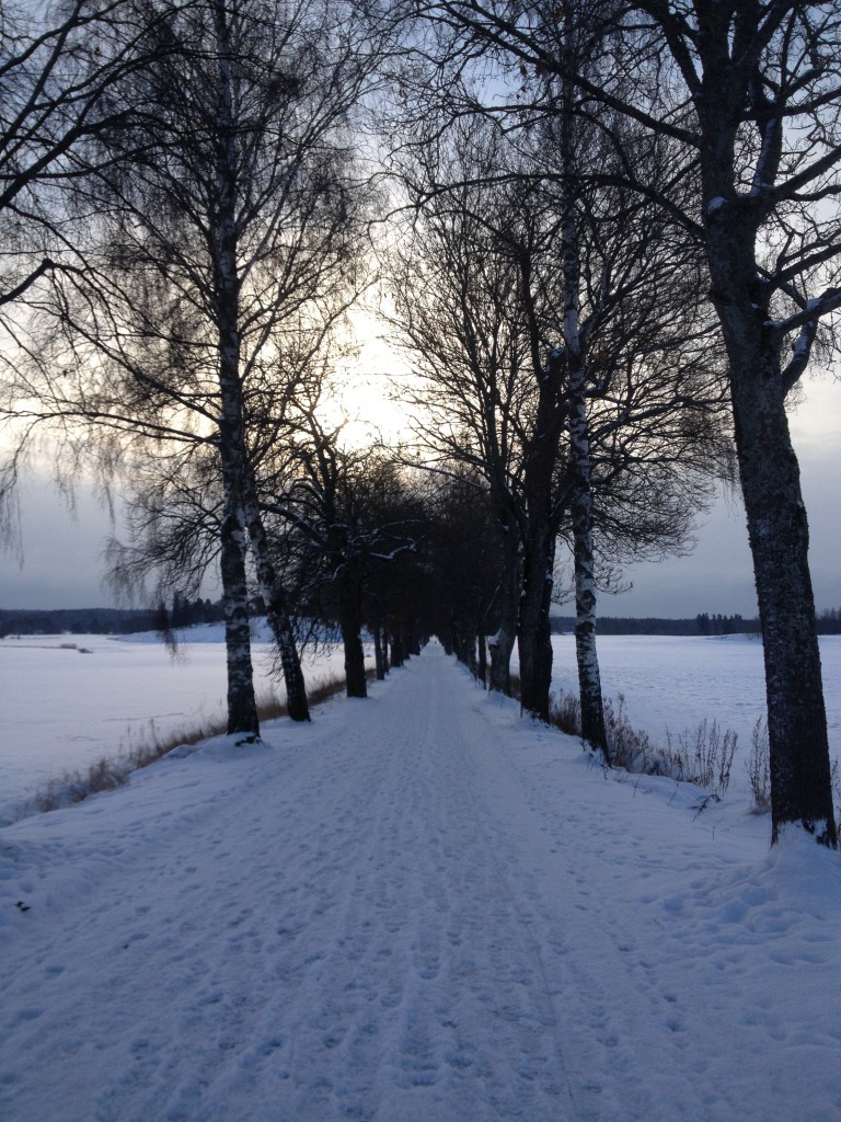 dockorna och Ella januari 2014 012