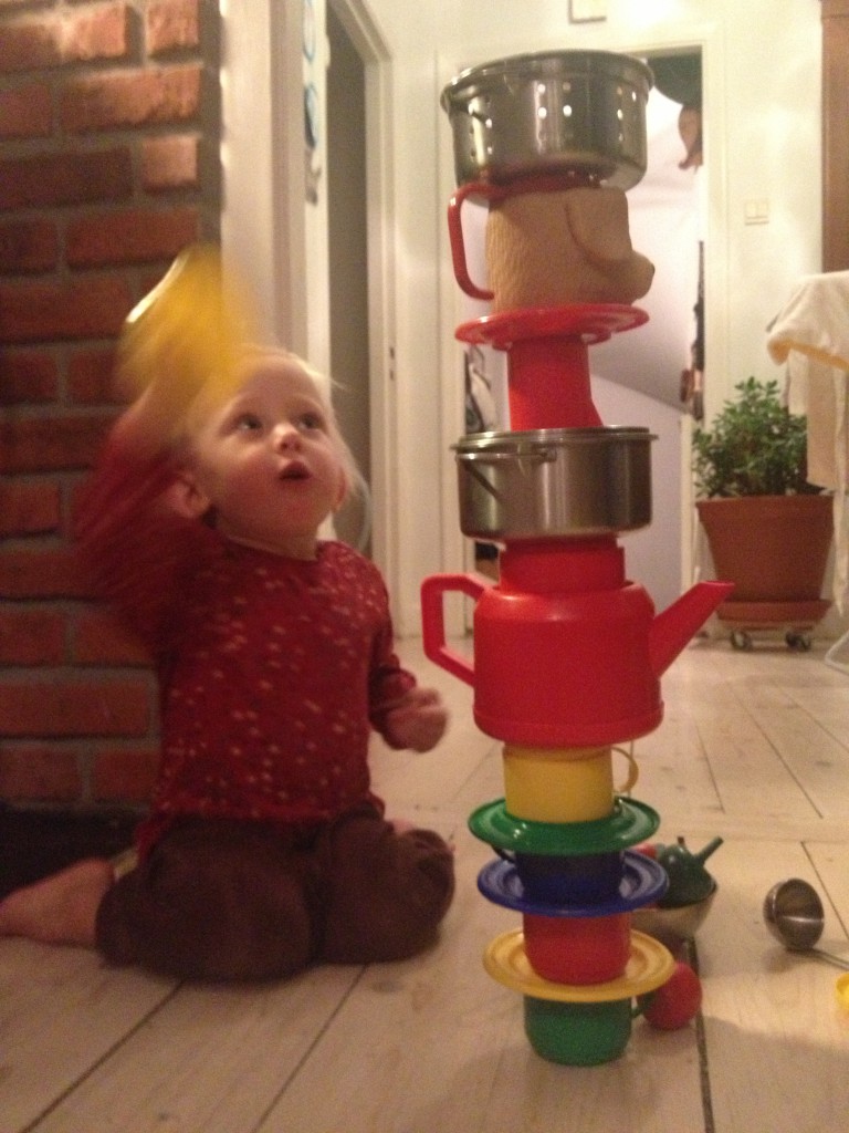 mer snö, januari 2014 007