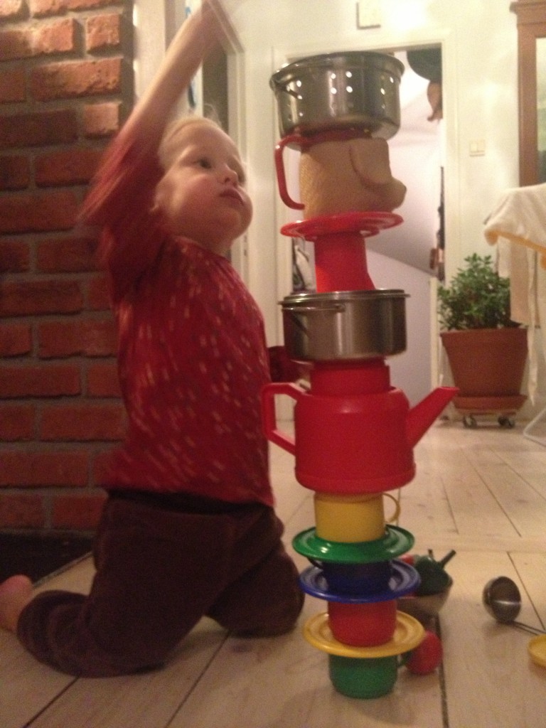 mer snö, januari 2014 008