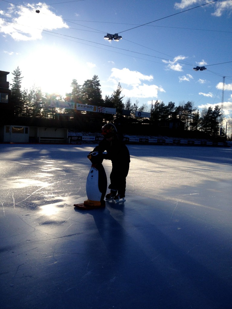 backavallen med pingviner och skridskor, sportlov 2014 012