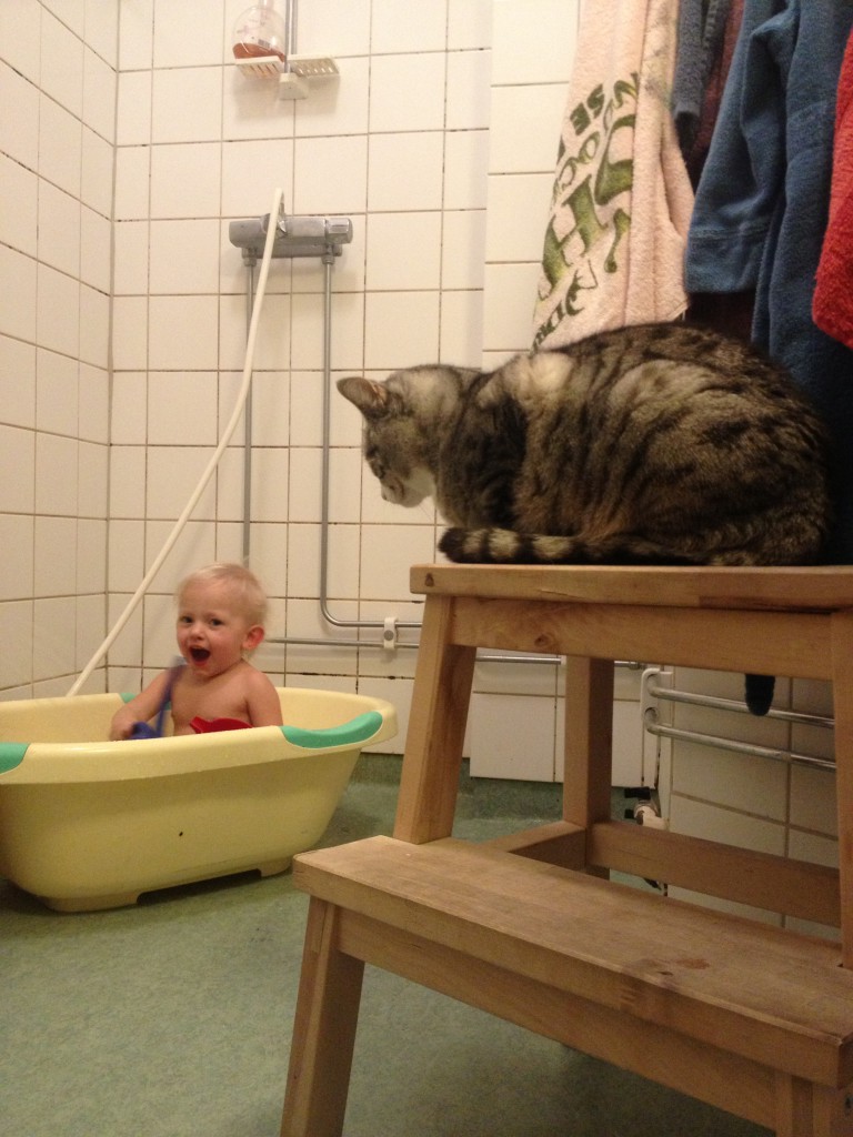 Bibblan och annat bus mars 2014 009