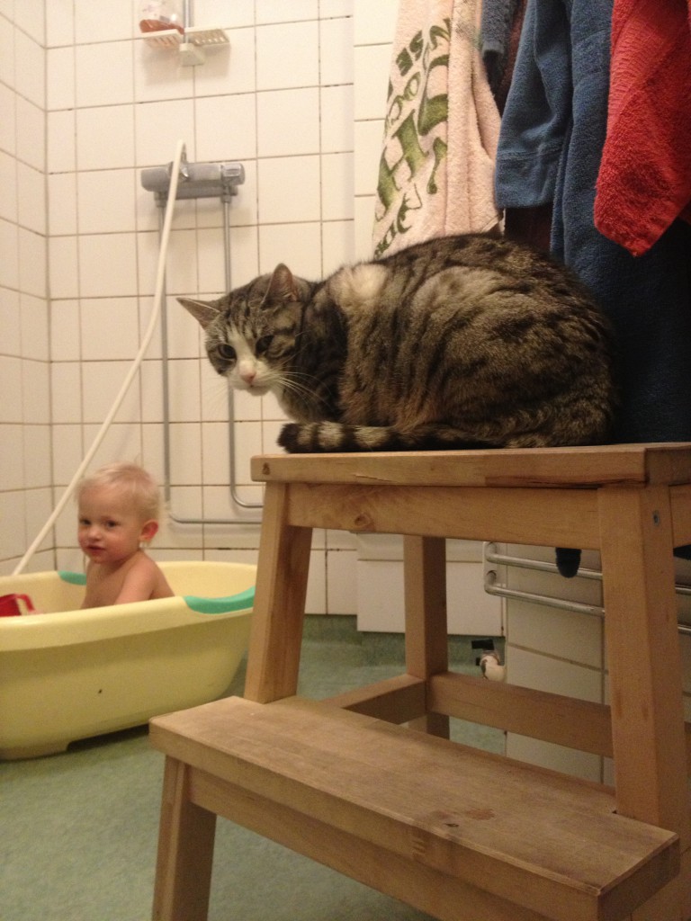 Bibblan och annat bus mars 2014 011