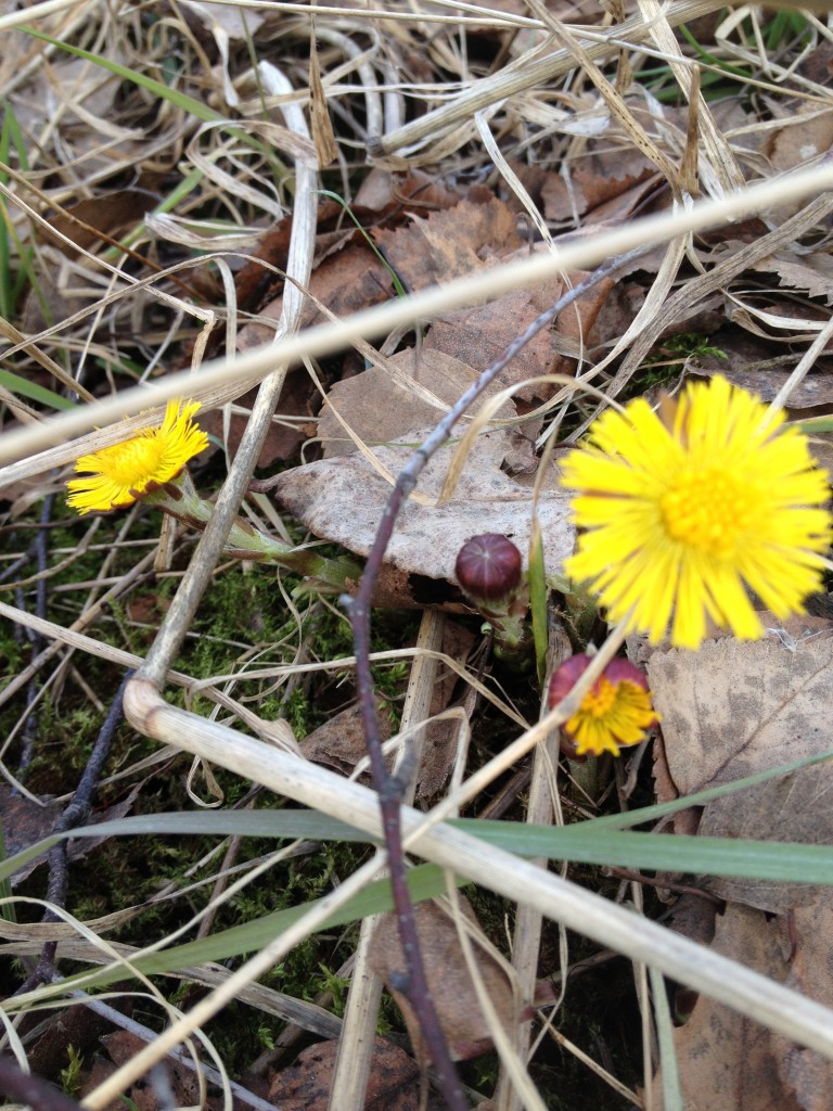 konstkul på bibblan mars 2014 016