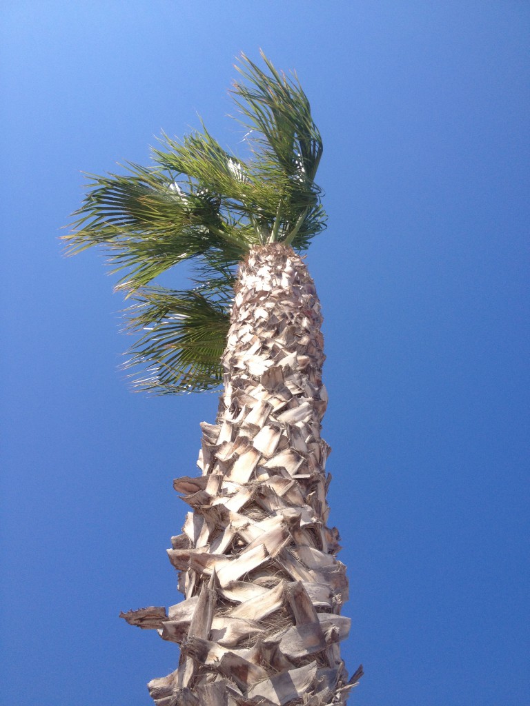 Spanien, juli 2014 009