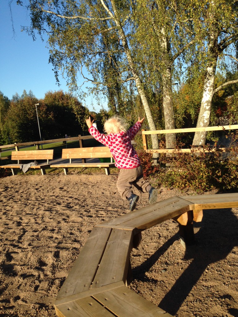 höstbilder november 2014 124