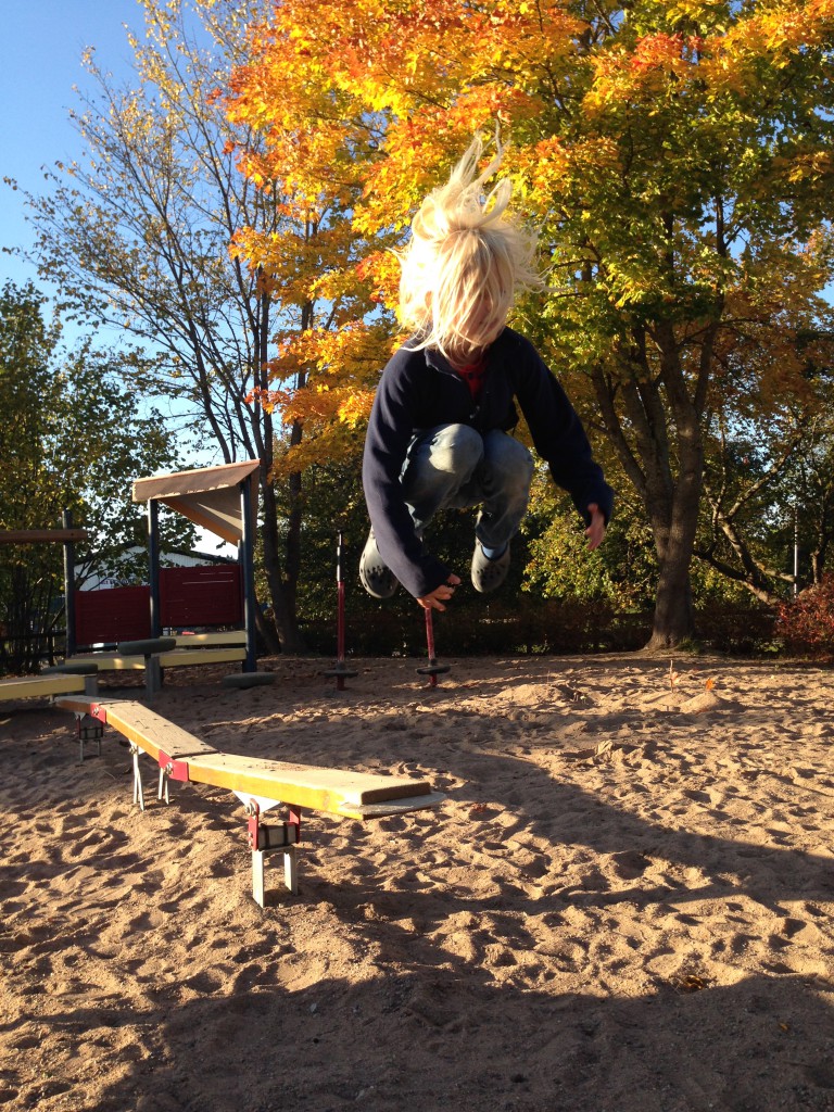 höstbilder november 2014 125